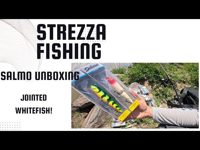 Salmo wobbler NEWS! New Hornets - OHS Pearl Shad AYU + Limited Jointed Whitefish | Strezza Fishing