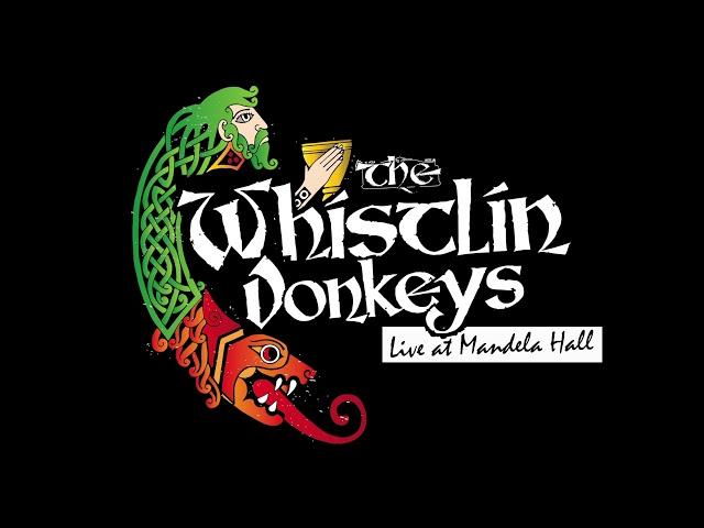 The Whistlin' Donkeys - Set Of Jigs & Reels - LIVE at Mandela Hall