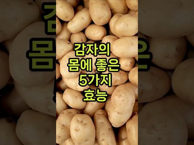 감자의 5가지 몸에 좋은 효능 #감자효능 #감자건강 #식물성단백질 #혈압조절 #비타민C  #붓기제거 #다이어트식품 #건강정보 #생활건강 #중년건강