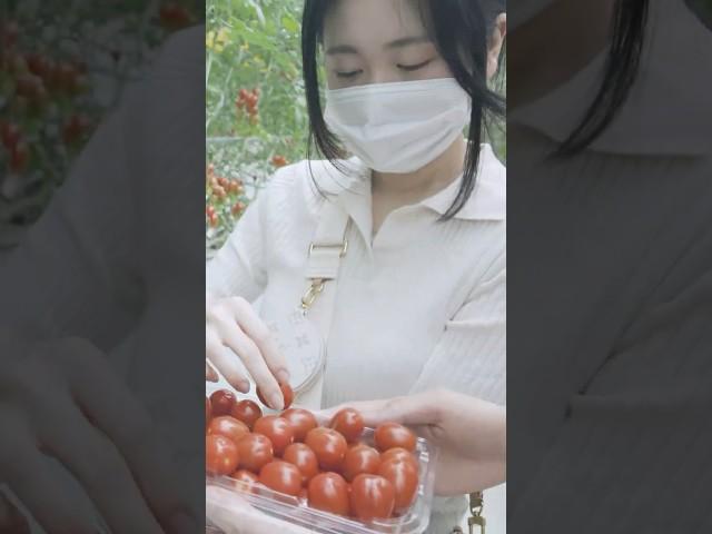 푸르메 힐링농장 스케치  | 푸르메재단×마비노기×넥슨재단
