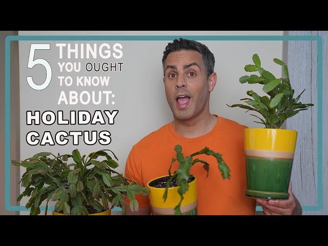 5 Things You Ought To Know About Your Holiday Cacti (Easter, Thanksgiving & Xmas) Care, Repot + More