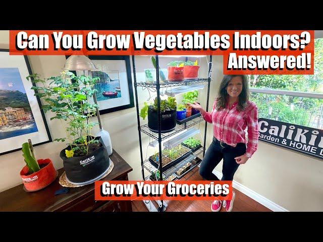 Can You Grow Vegetables Indoors? Answered!  / Grow Your Groceries