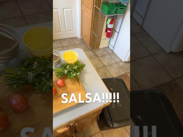 Salsa