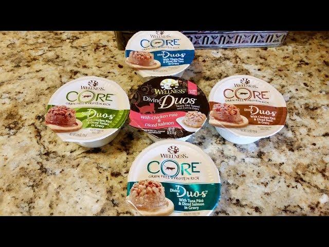 Wellness Core Divine Duos Cat Food Review