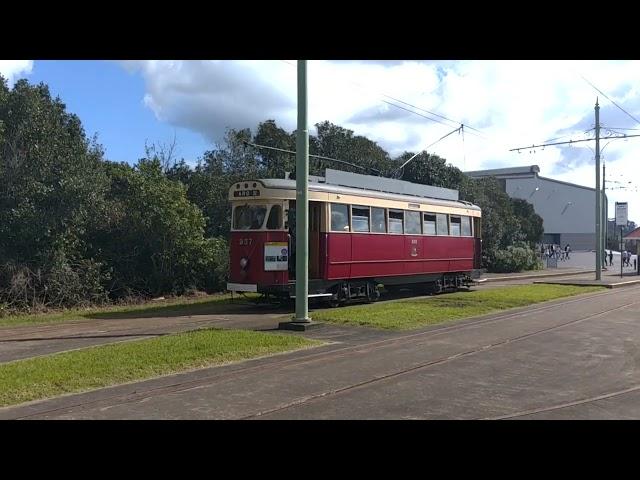 Wellington Trams crossing Auckland Tram