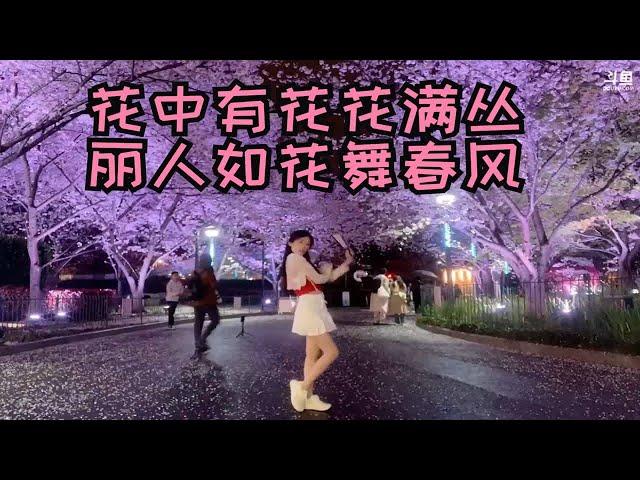 社牛蛋宝花下浪漫起舞，一个世界 两个季节