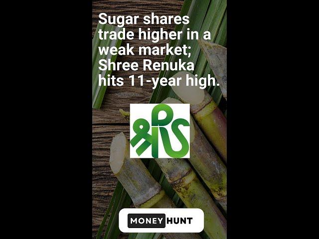 Sugar shares trade higher in a weak market; Shree Renuka hits 11 year high