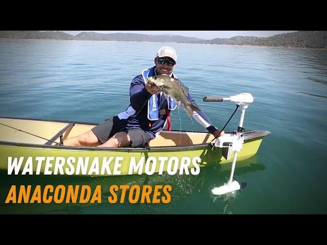 Jarvis Walker Watersnake Transom Electric Motors | Electric Motor | Anaconda Stores