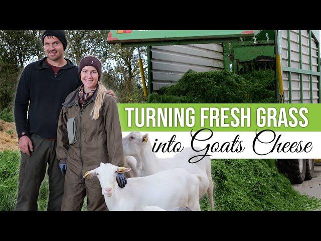 Zero Grazing for Organic Goats