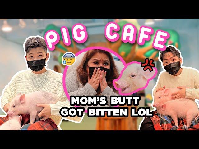 WE WENT TO A PIG CAFE!!! *OMG SO CUTE*