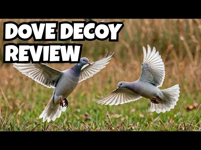 Should You Get MOJO Outdoors Dove Decoys? A Detailed Review