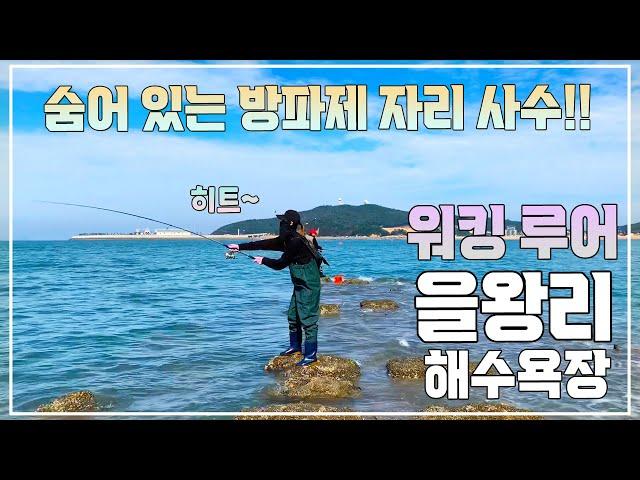 을왕리해수욕장 워킹 루어 포인트Fishing in Eurwangni Beach