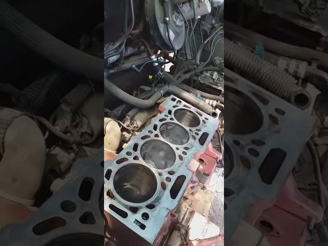 Saxo 1600 (wossner pistons)