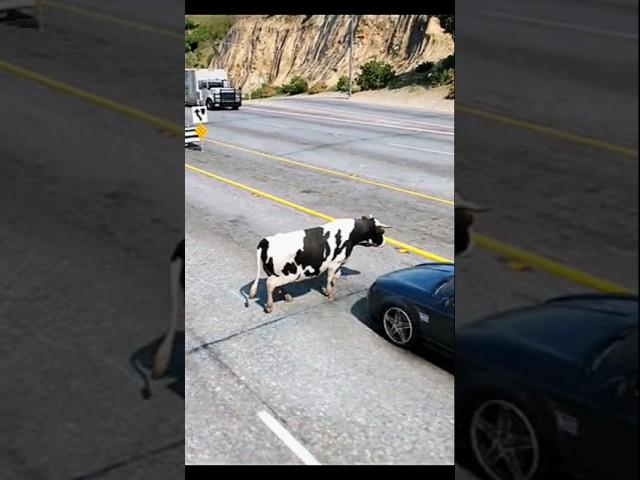 #cows #shorts #cowvideos #sapi #cowsong #lavacalola #vaca #viralvideo #fyp