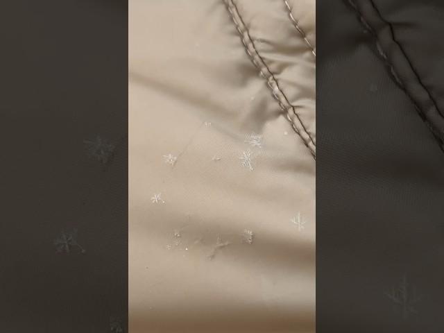 잘 보이는 눈송이 snowflake️ #shorts #snow #snowflakes #zoom #closeup #snowflake #눈결정 #snowfall #눈송이