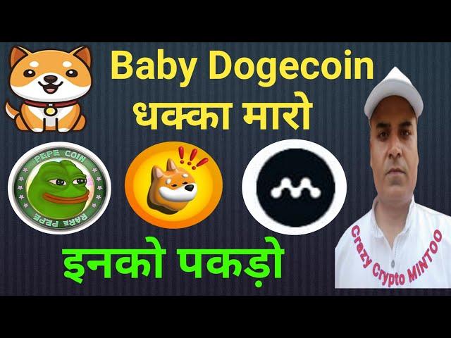 Baby dogecoin धक्का मारो, BONK, PEPE, MYRIA इनको पकड़ो || Crazy Crypto Mintoo