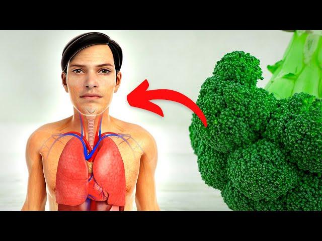 When You Eat Broccoli Every Day, This Is What Happens To Your Body