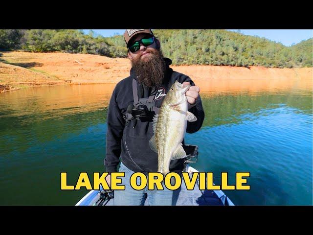 We Snuck Into BASS UNIONS Backyard - Lake Oroville Winter Bass Fishing