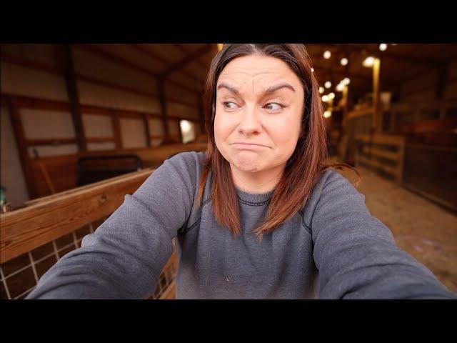 Arguing with Turkeys (Evening in the Barn) | Homestead Family VLOG