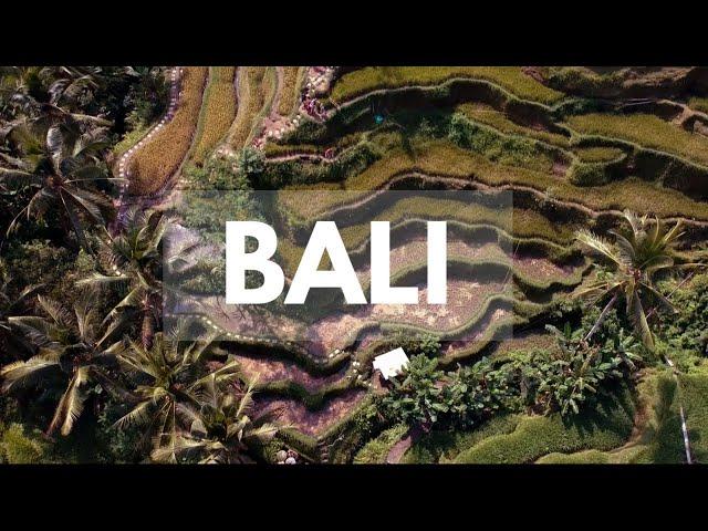 Bali From Above | HD Drone Shots