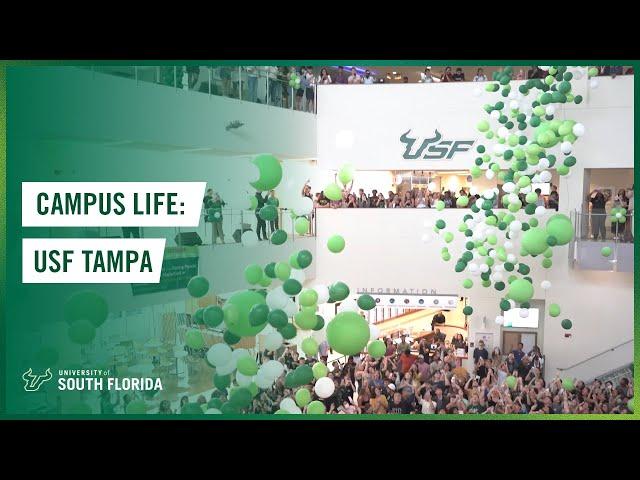 Campus Life: USF Tampa | University of South Florida