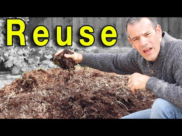 The Best Techniques for Reusing Old Compost in Your Vegetable Garden