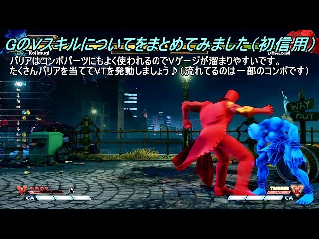 Gのバリアについて(初心用)