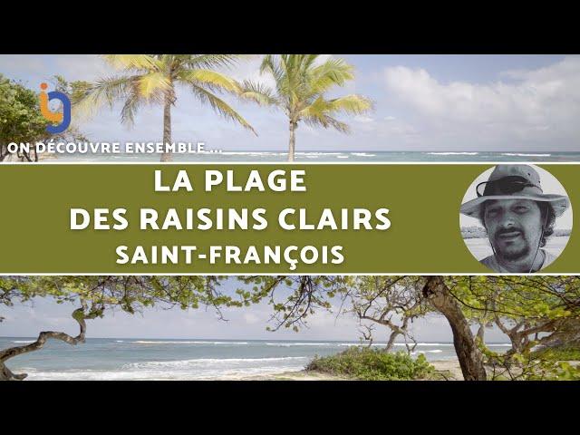 Raisins Clairs beach in Guadeloupe