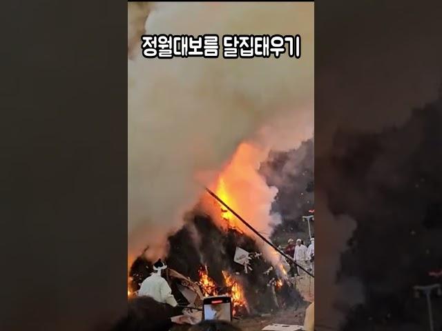 정월대보름 보름달을 바라보며  달집태우기