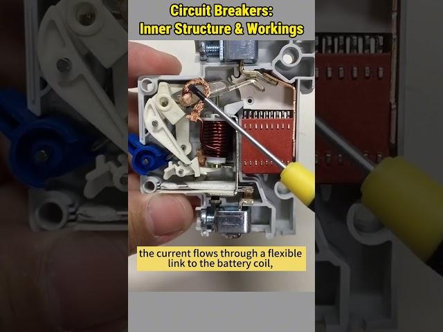Circuit Breakers: Inside Look & Safety Features #electrical #circuitbreaker