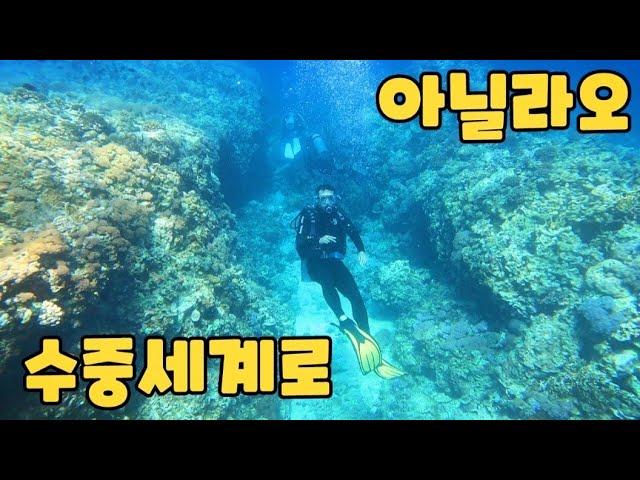  아닐라오 해저 여행 스쿠버 다이빙 GAG DIVERs SCUBA TEAM.