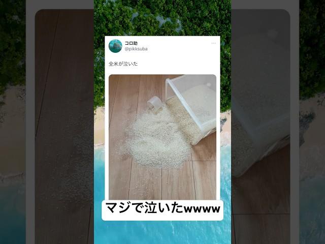 これは泣ける....#shorts#面白い#全米#泣ける#状況#草