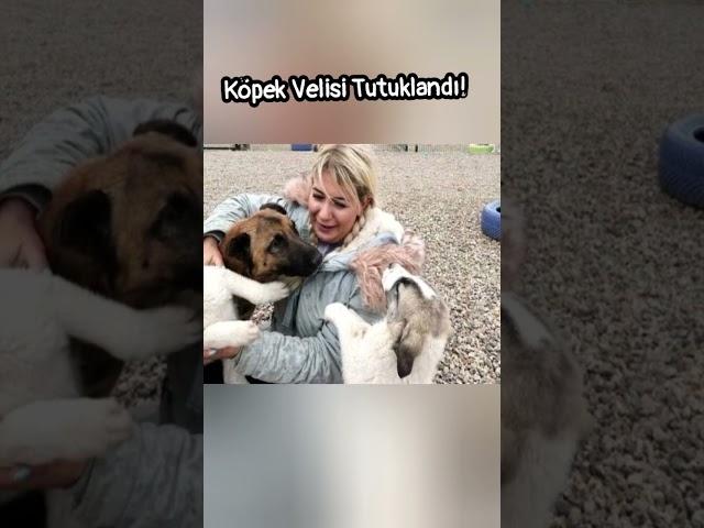 Köpek Velisi Buket Özgünlü Tutuklandı!