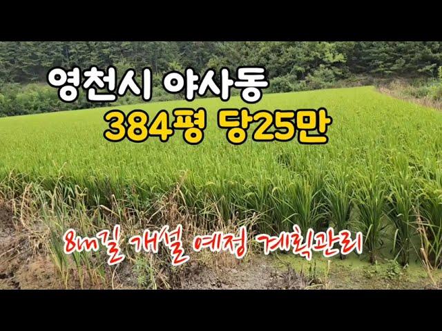 @no.622 #영천시 야사동 급매 투자적지 384평 9600만