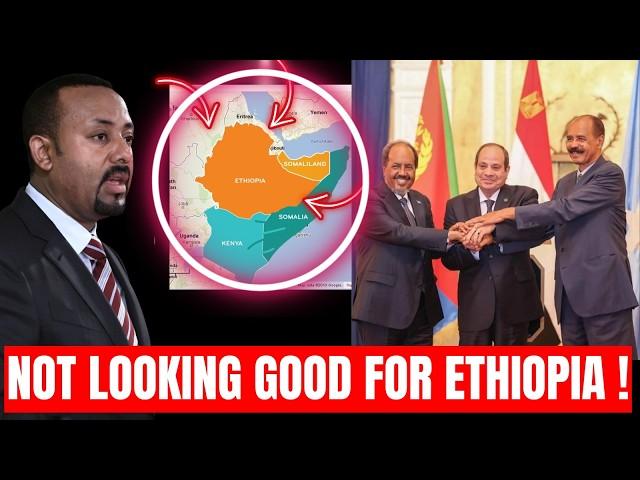 Egypt , Eritrea and Somalia cement axis against Ethiopia - Is The Horn of Africa in For Crisis?