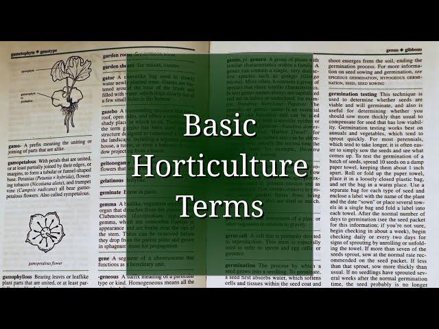 Basic Horticulture Terminology