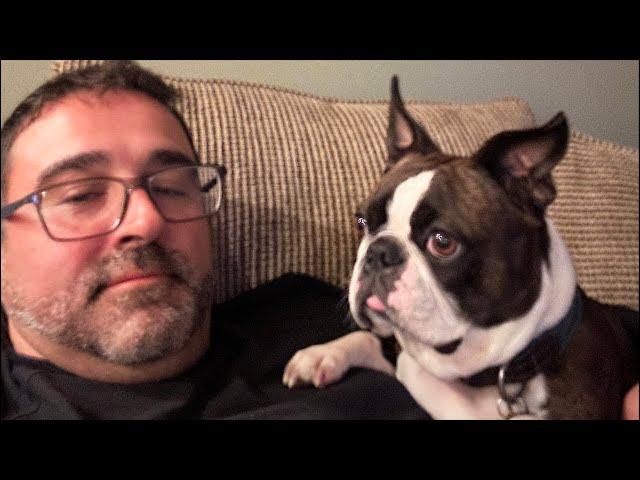 FRIDAY NIGHT LIVE! My Boston Terrier Missed Me! Calvin The Boston Terrierist! is live!