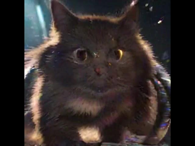 Cat Earth Blue Planet Terra the Blue Planet High Redshift Quasar(1)
