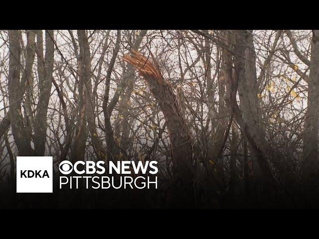 Tornado touches down in Pittsburgh's eastern neighborhoods