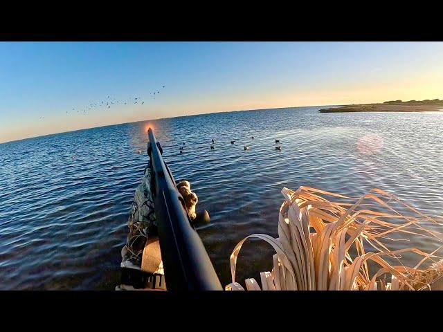 Texas Duck Hunting for a Limit in 4K 120 FPS