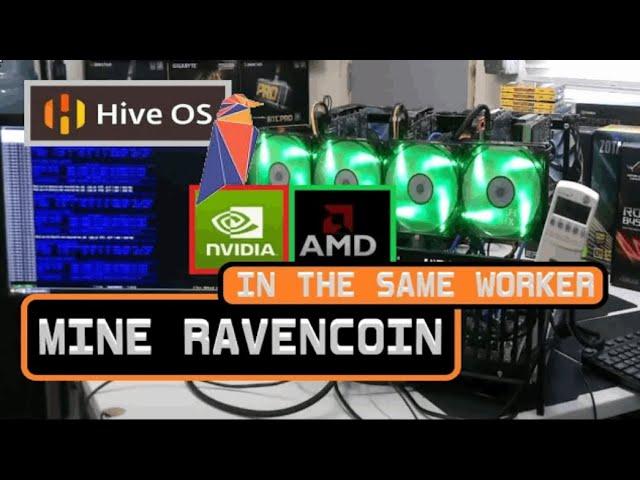 MINE RAVENCOIN (RVN)  W/ AMD AND NVIDIA GPUS IN THE SAME WORKER | TEAMREDMINER AND T-REX |  HIVEOS