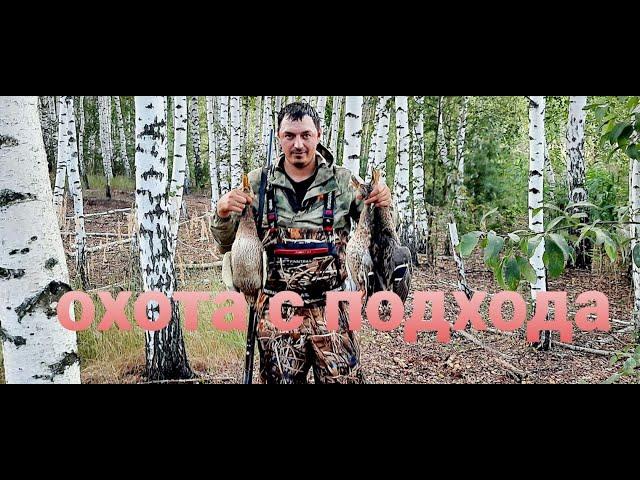 ОХОТА С ПОДХОДА НА УТКУ И ВЕЧЕРКА . ИСТОРИЯ ОДНОГО ДНЯ .