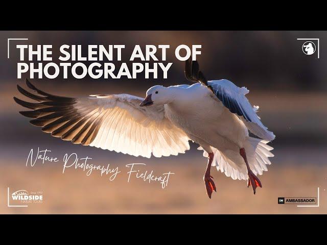 The Silent Art of Photography - Nature Photography Fieldcraft