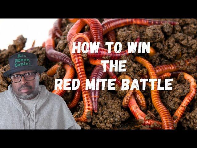 How To Control MITES In Worm Bin