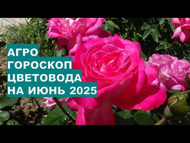 Лучшие дни для ухода за цветами в июне 2025!