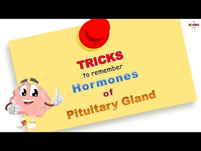 Memorize Pituitary Hormones in Minutes: Easy Tricks to Remember | Biology | The Science Funda