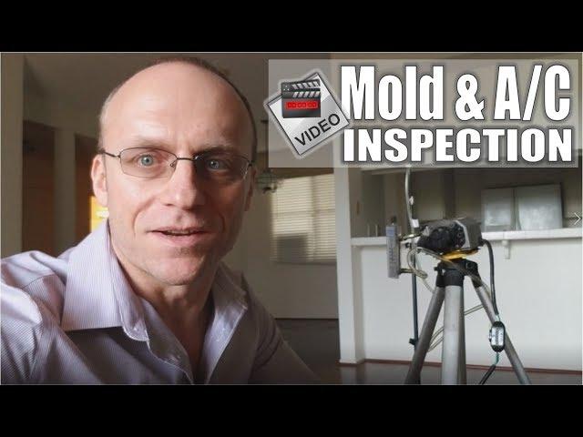 Mold and A/C Inspection