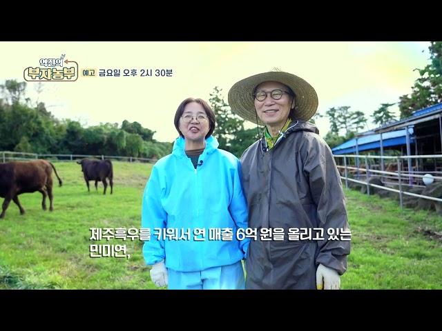 [역전의부자농부 332회 예고] 제주 흑우 농장 운영으로 연 매출 6억 원! 제주 민미연 부자농부