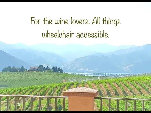 Do you like, love wine and vineyards? Come and see! Accessible travel exploration.