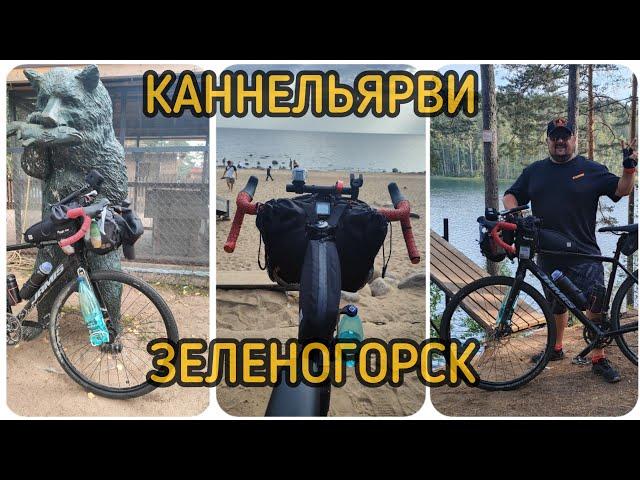 Велосипед, природа и дикие звери 🫣 Прокатился по Курортной зоне, нашёл зоопарк 